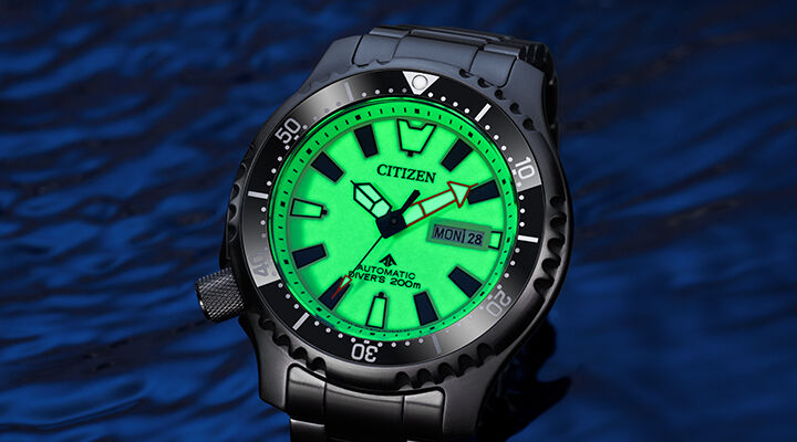 Promaster Dive Automatic Watches, feature Promaster Dive Automatic model NY0155-58X image.