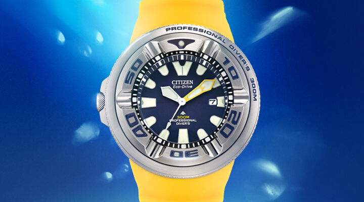 Men s Promaster Sea Watches Dive Sport Watches CITIZEN