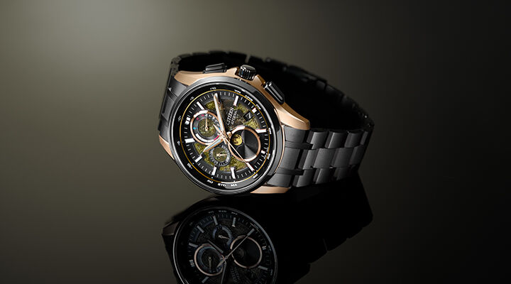 Luxury Gifts Citizen Watches 