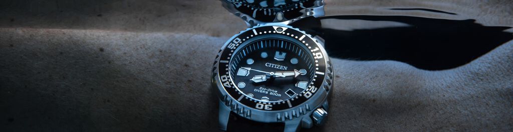 Cadeaux de moins de 500 $ pour lui; Mettant en vedet la montre Promaster Dive , mod&egrave;le BN0150-28E