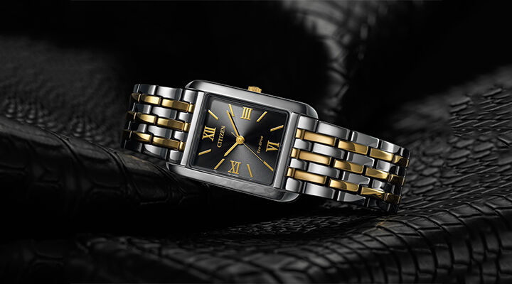 Mettant en vedet la montre Addysen, mod&egrave;le BJ6574-59E