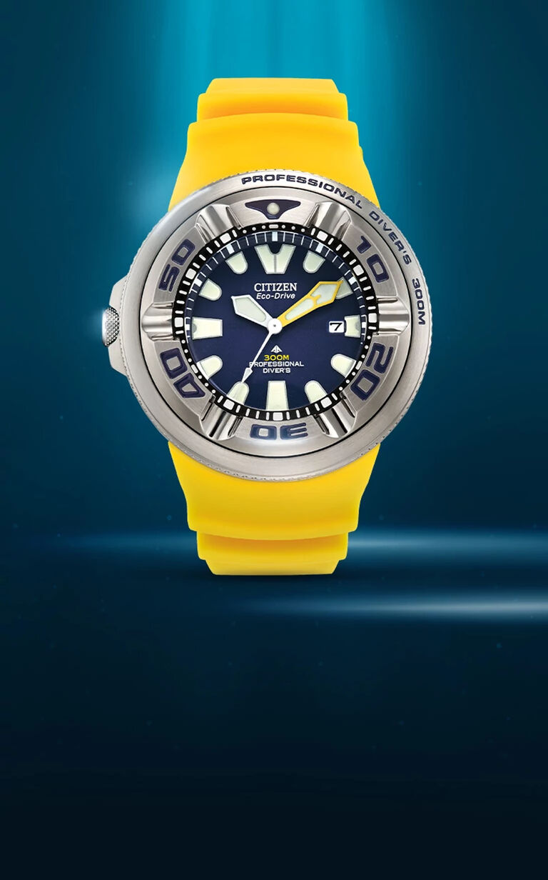 Promaster Dive