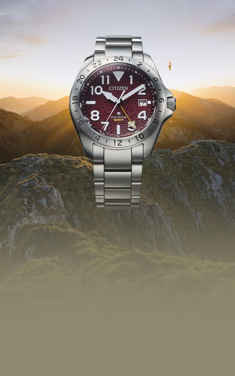 Featuring the Promaster Land GMT watch model BJ7150-50W