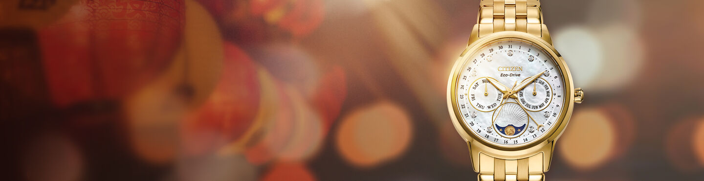 Lunar new year banner