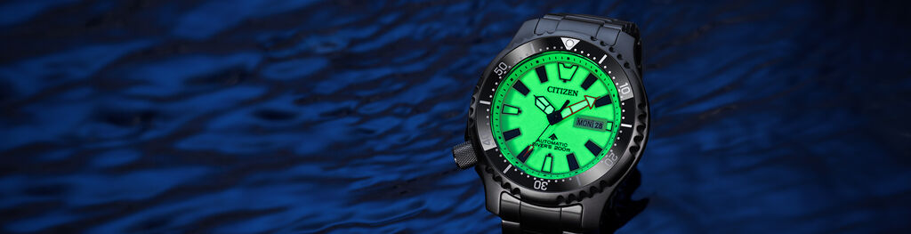 Montres Promaster Dive Automatique