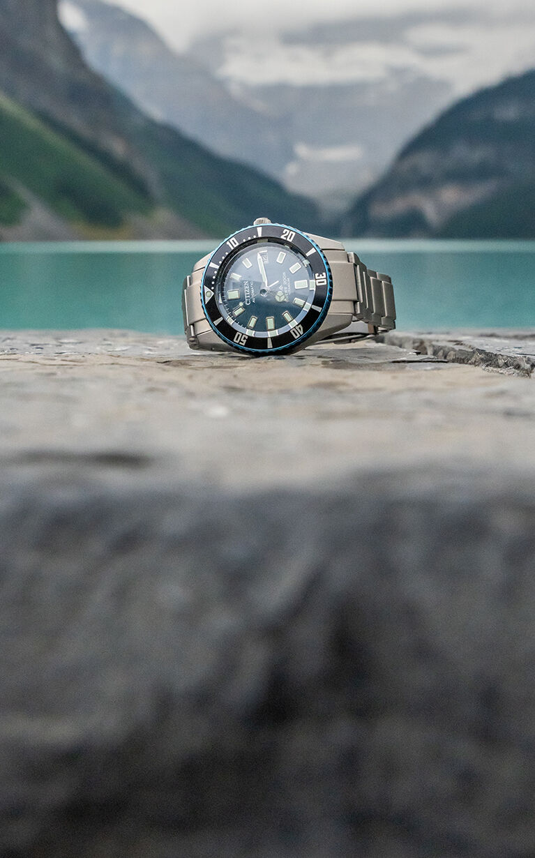 Promaster Fujitsubo NB6026-56L