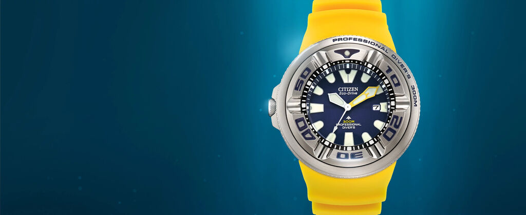 Promaster Dive